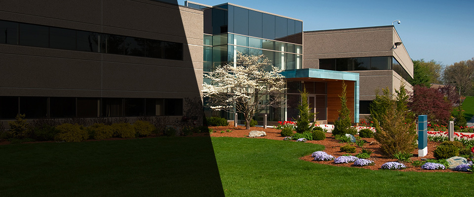 Falmouth Landscapers